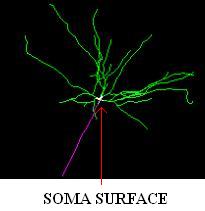 Soma_Surface
