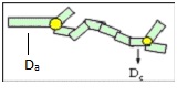 Soma_Surface