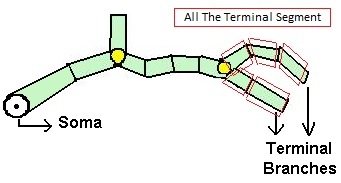 Soma_Surface