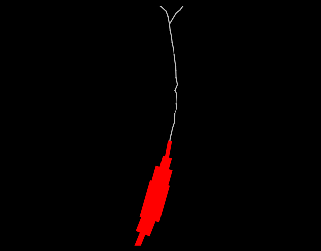 Detailed Cell Information C9b